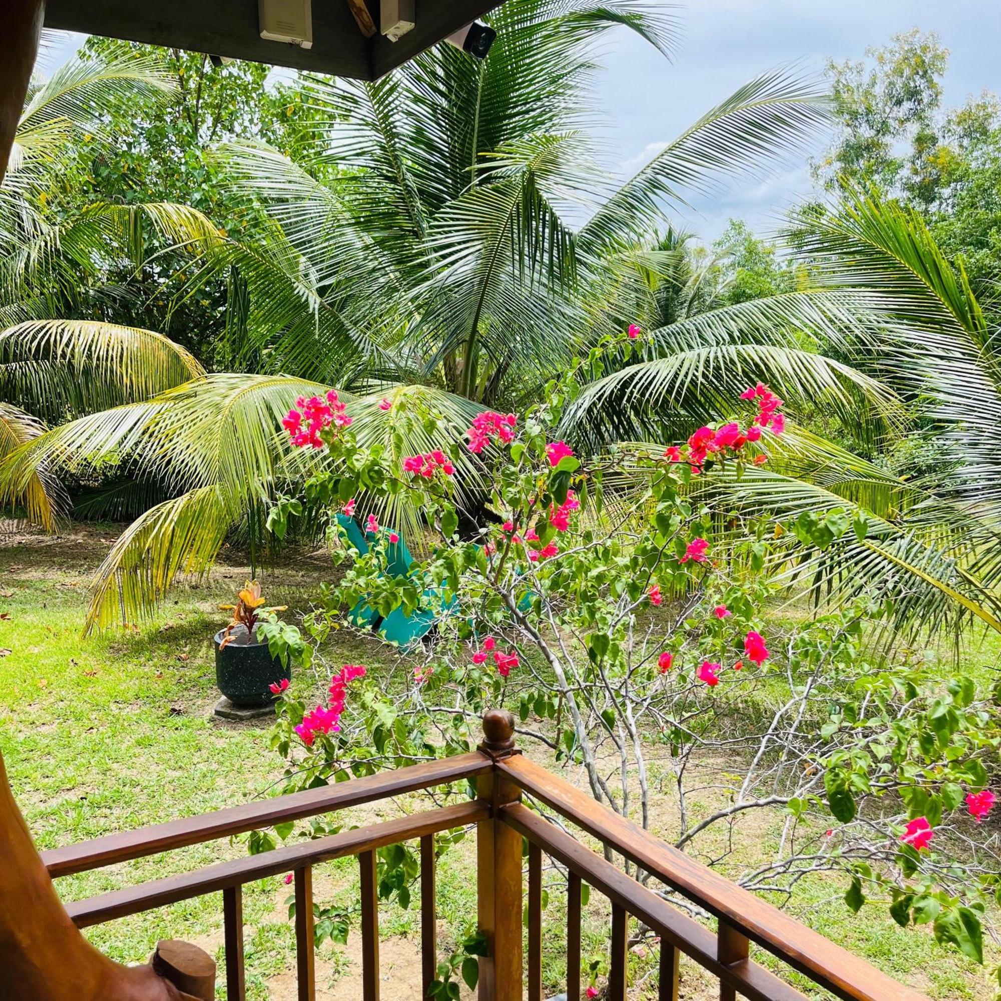 Hanguk Lanka Lagoon Villa แทนกาลเล ภายนอก รูปภาพ