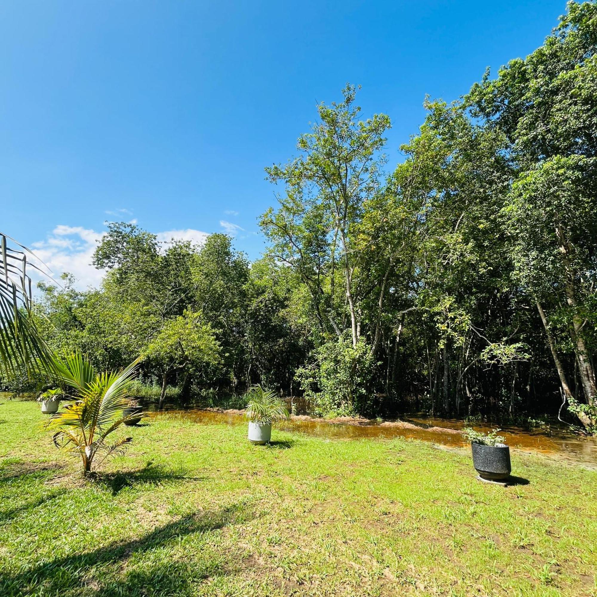 Hanguk Lanka Lagoon Villa แทนกาลเล ภายนอก รูปภาพ