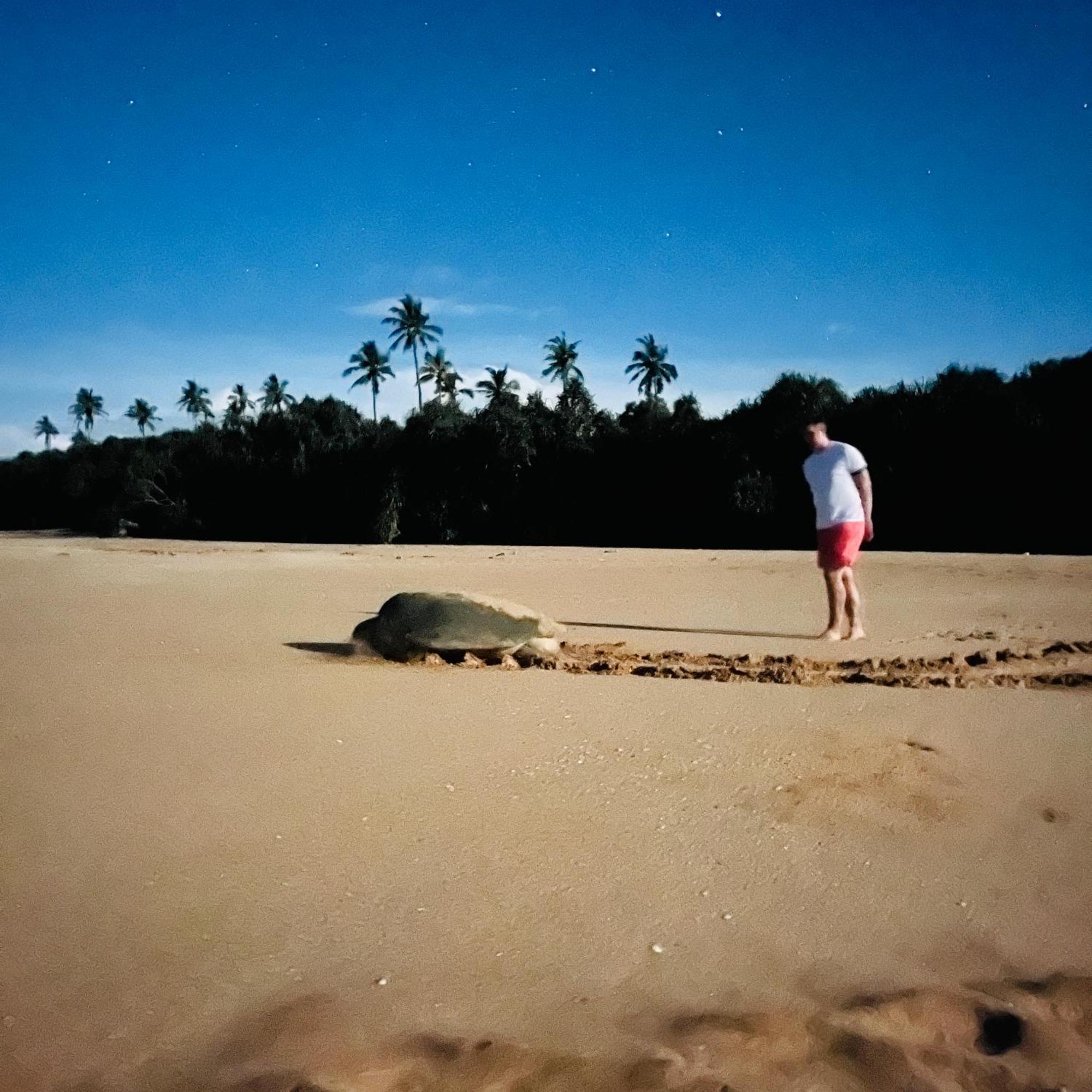 Hanguk Lanka Lagoon Villa แทนกาลเล ภายนอก รูปภาพ