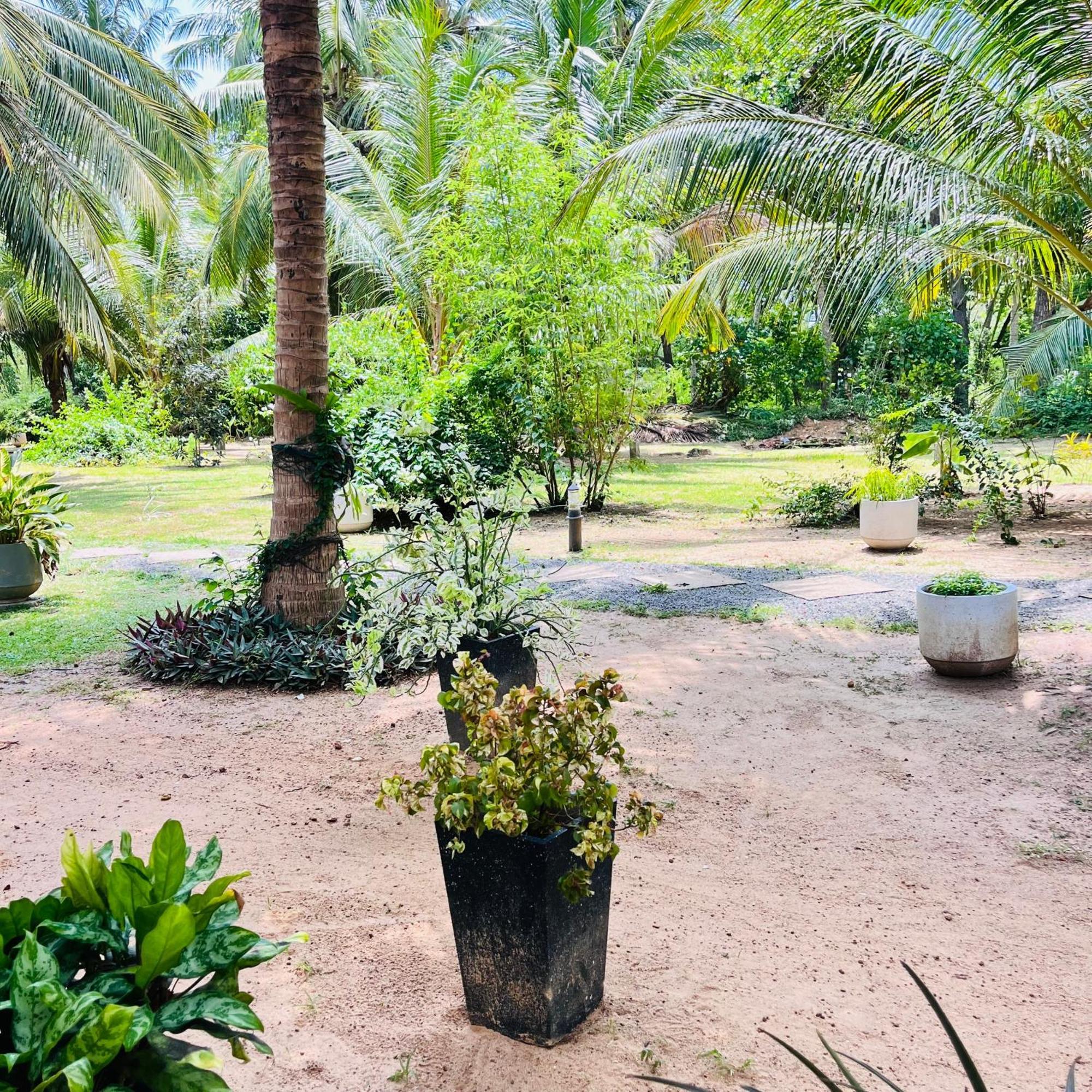 Hanguk Lanka Lagoon Villa แทนกาลเล ภายนอก รูปภาพ