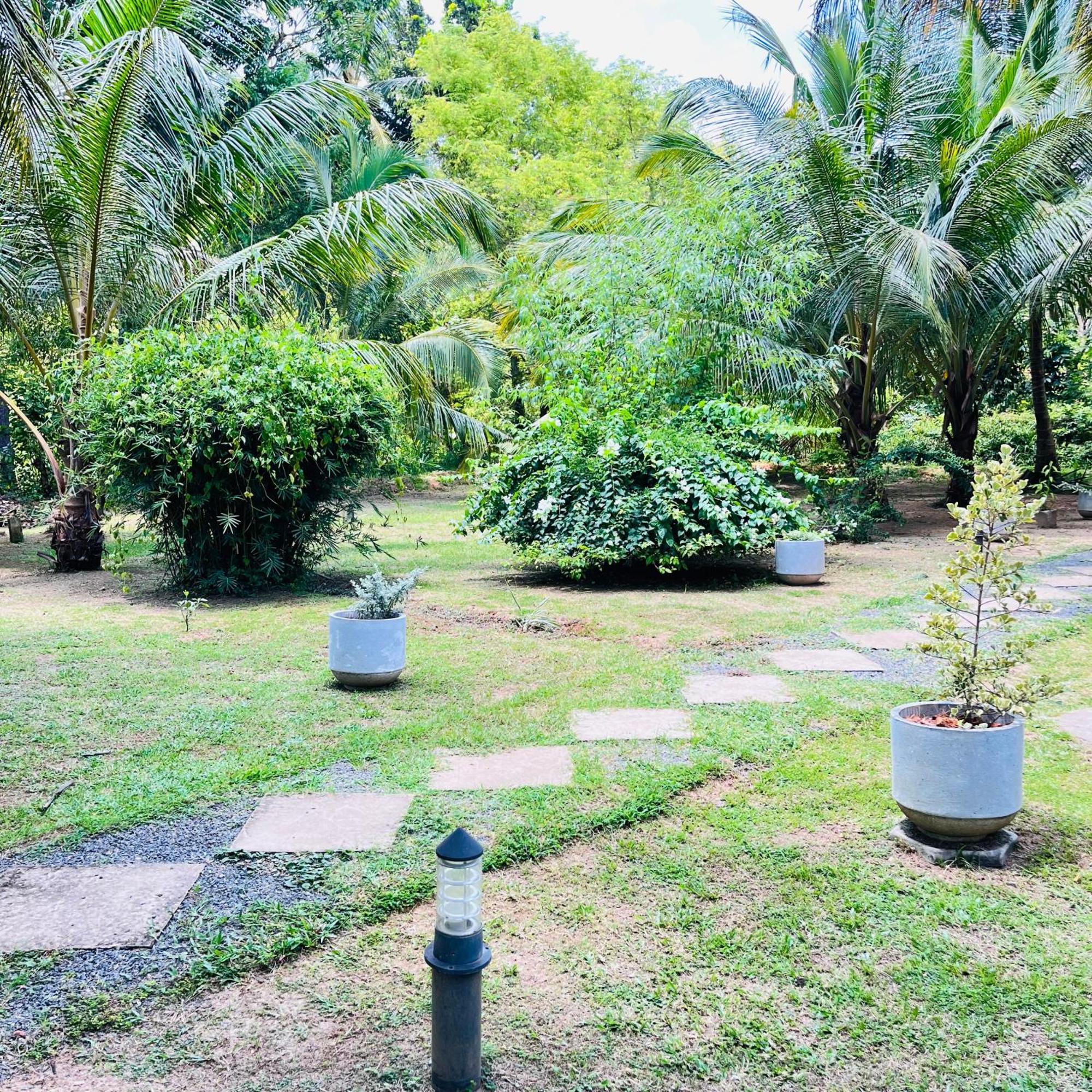 Hanguk Lanka Lagoon Villa แทนกาลเล ภายนอก รูปภาพ
