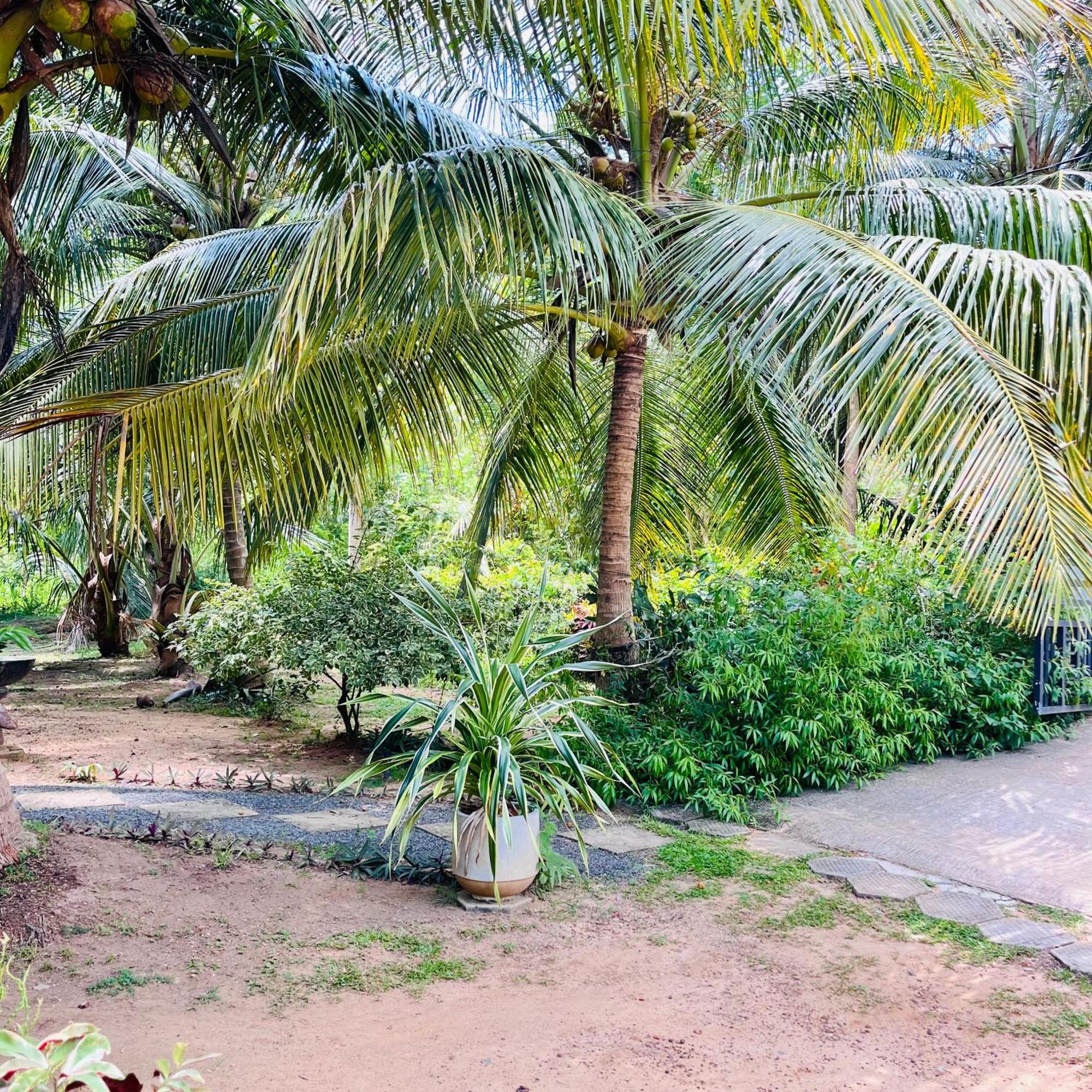 Hanguk Lanka Lagoon Villa แทนกาลเล ภายนอก รูปภาพ