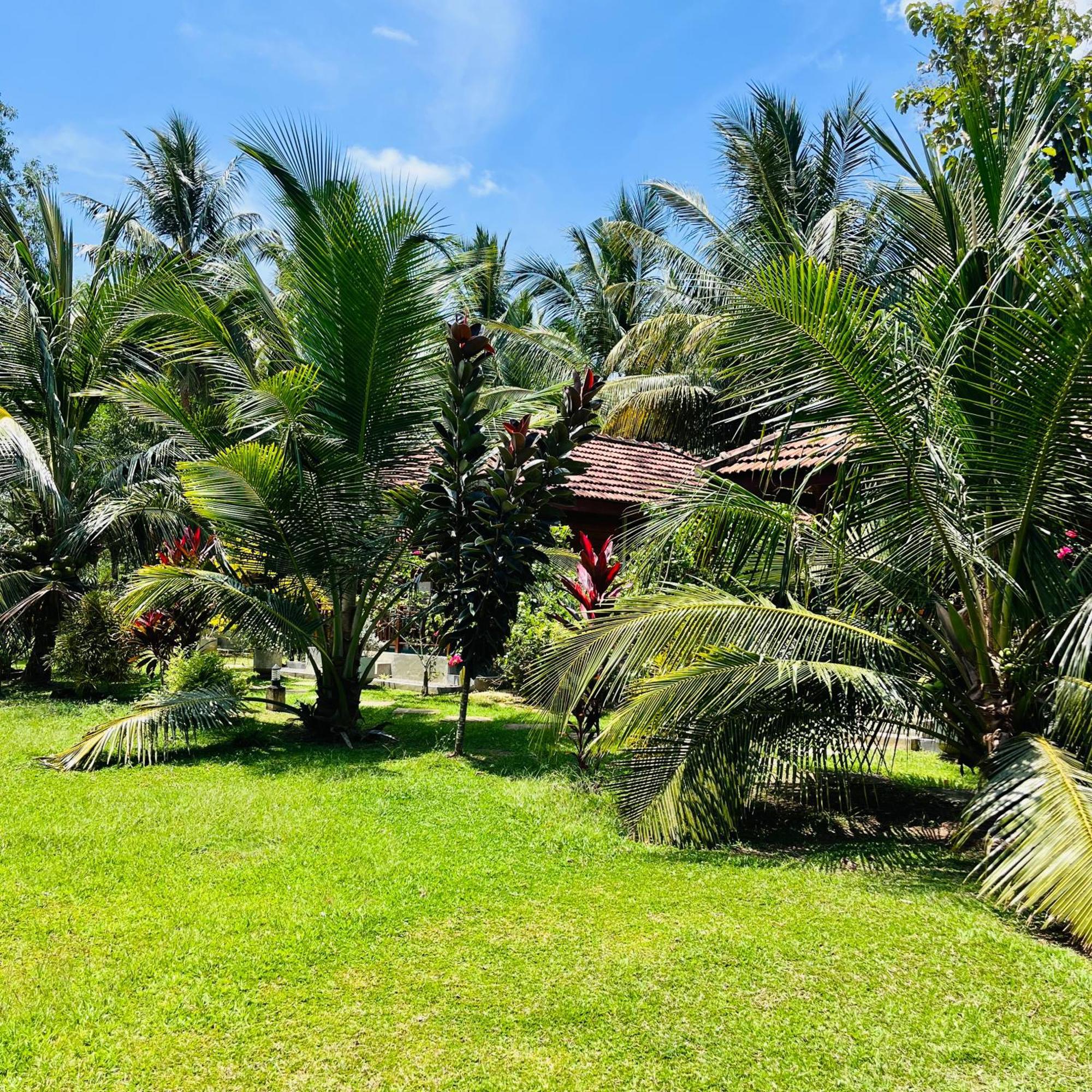 Hanguk Lanka Lagoon Villa แทนกาลเล ภายนอก รูปภาพ
