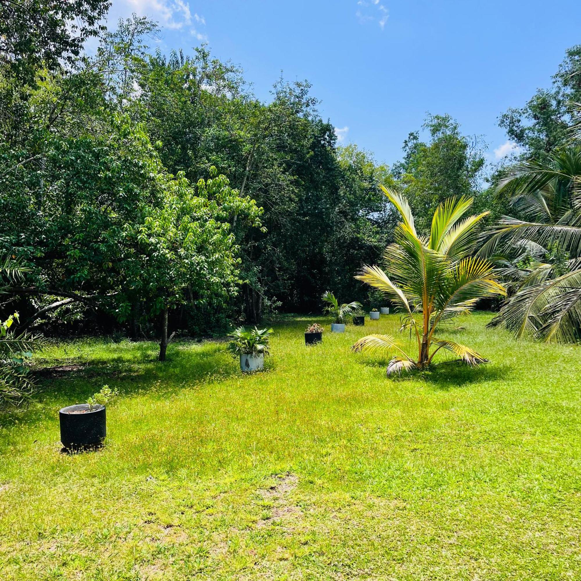 Hanguk Lanka Lagoon Villa แทนกาลเล ภายนอก รูปภาพ