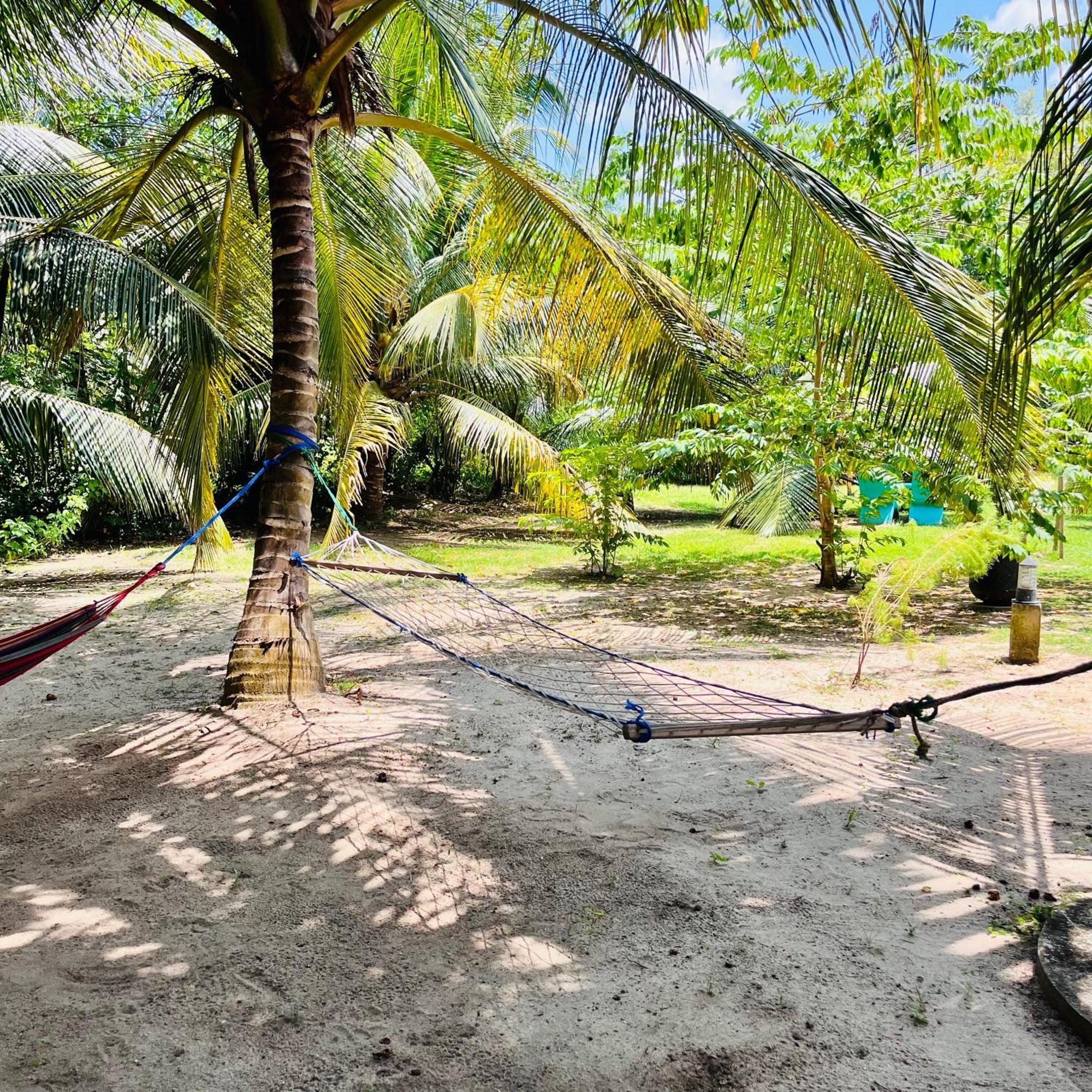 Hanguk Lanka Lagoon Villa แทนกาลเล ภายนอก รูปภาพ