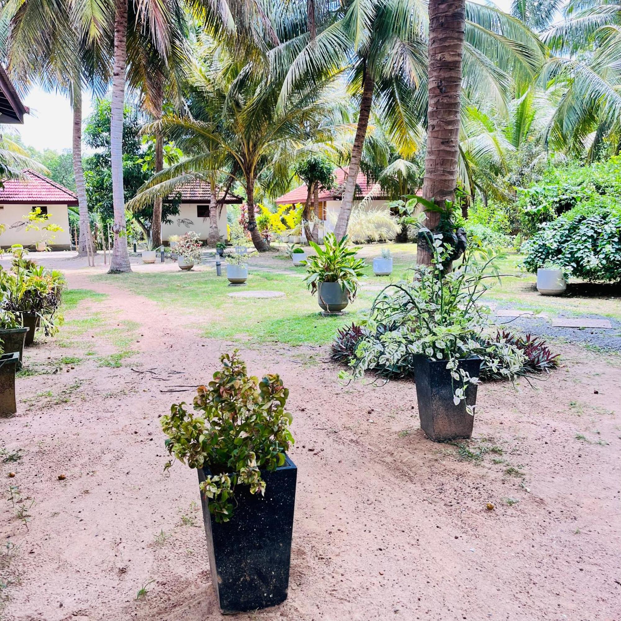 Hanguk Lanka Lagoon Villa แทนกาลเล ภายนอก รูปภาพ