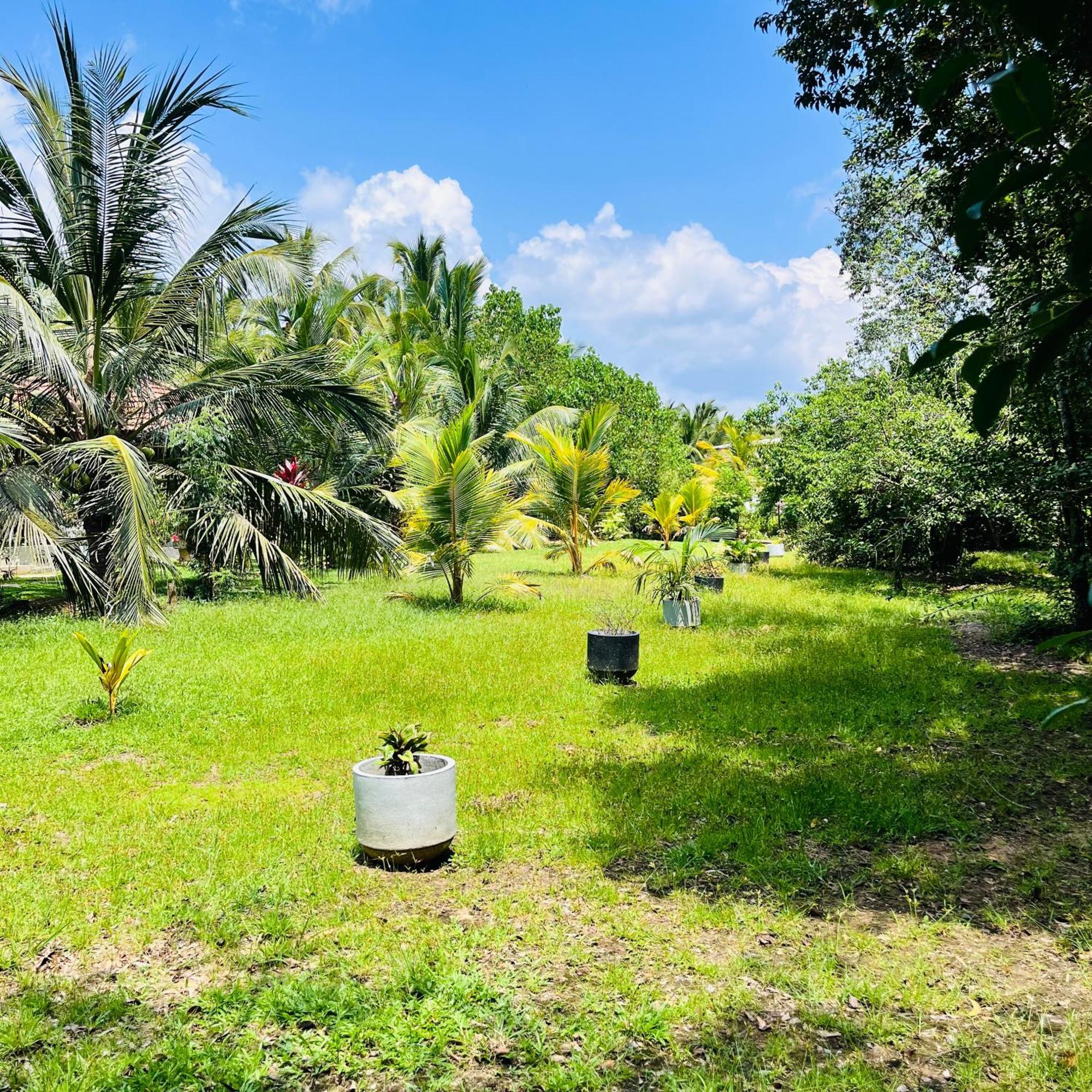 Hanguk Lanka Lagoon Villa แทนกาลเล ภายนอก รูปภาพ