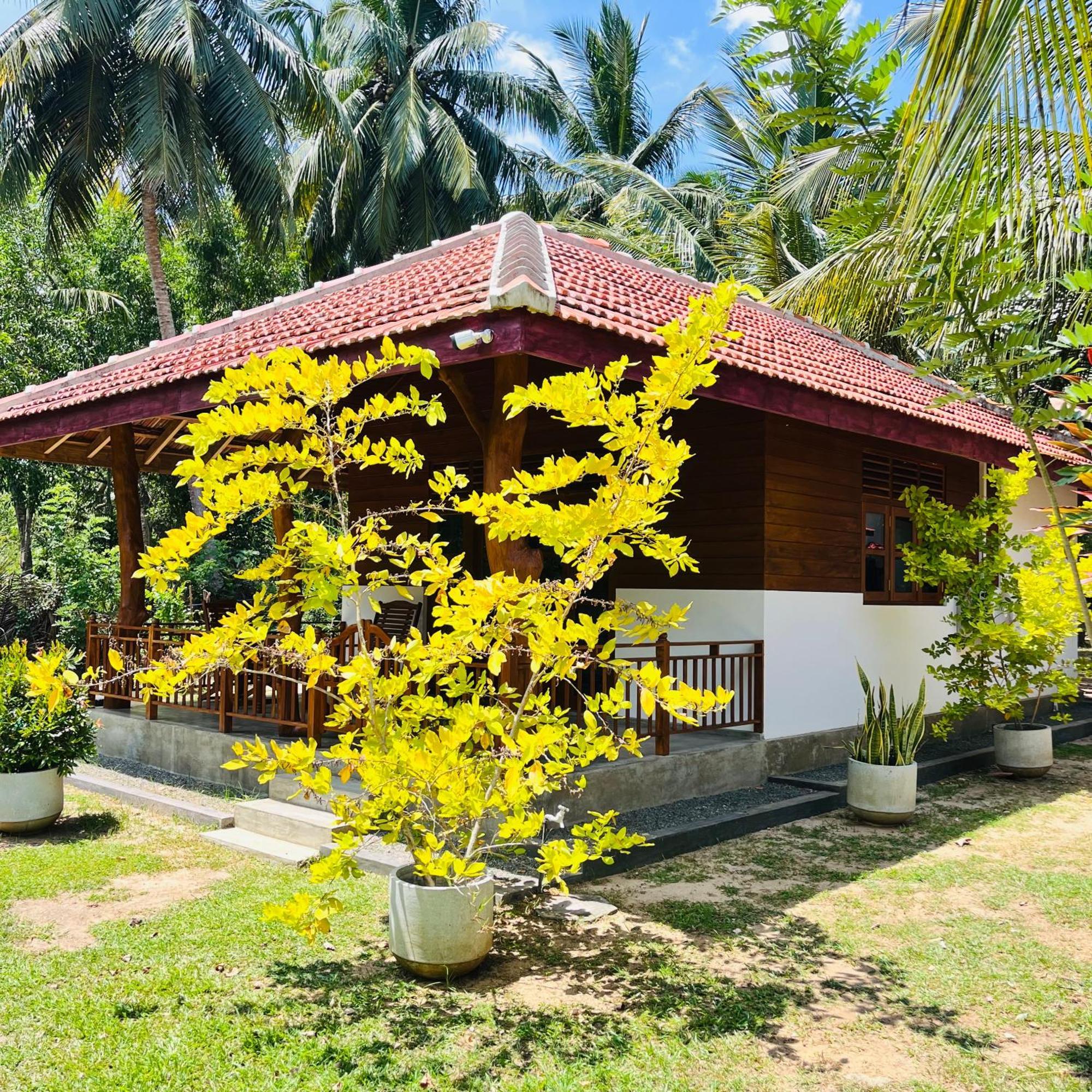 Hanguk Lanka Lagoon Villa แทนกาลเล ภายนอก รูปภาพ