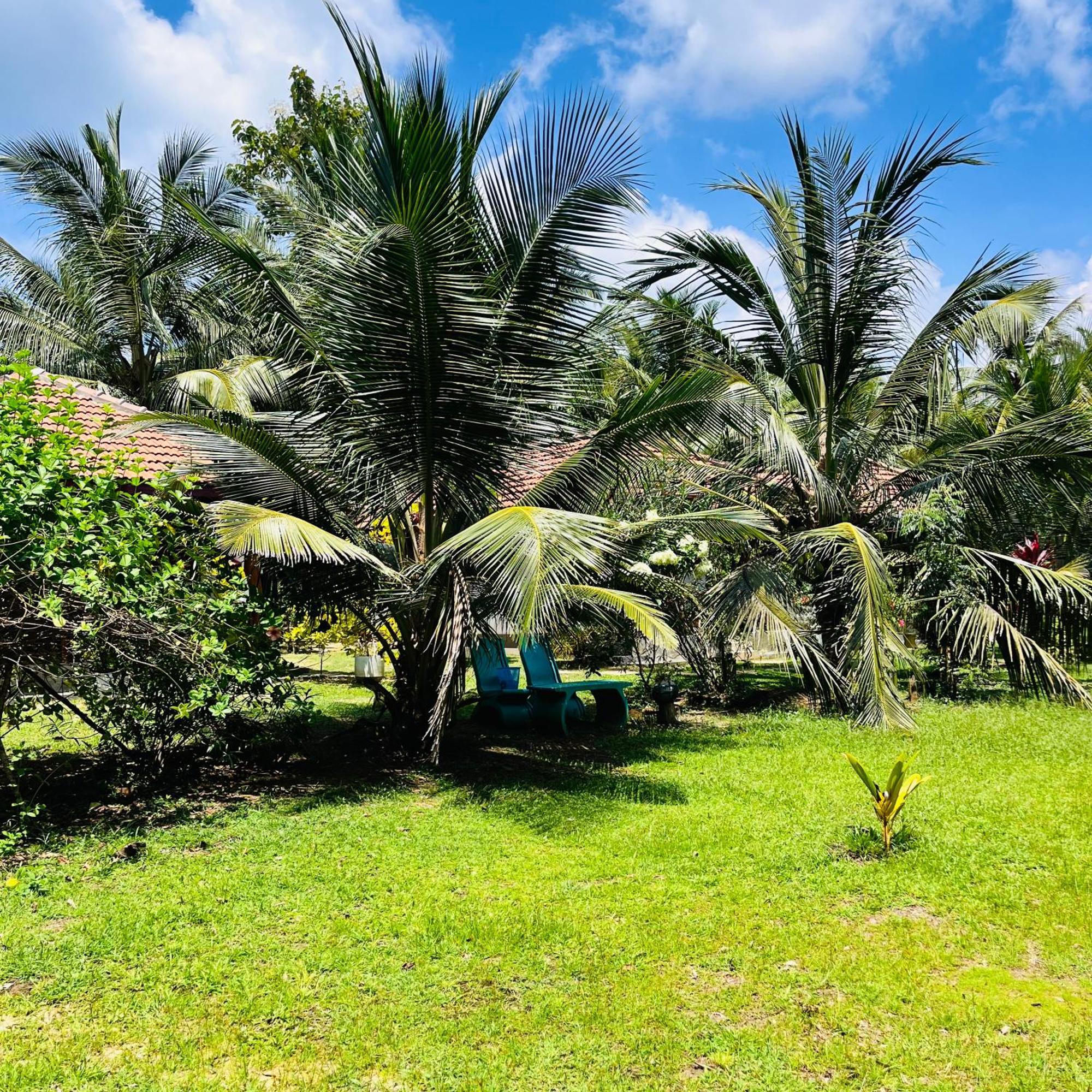 Hanguk Lanka Lagoon Villa แทนกาลเล ภายนอก รูปภาพ