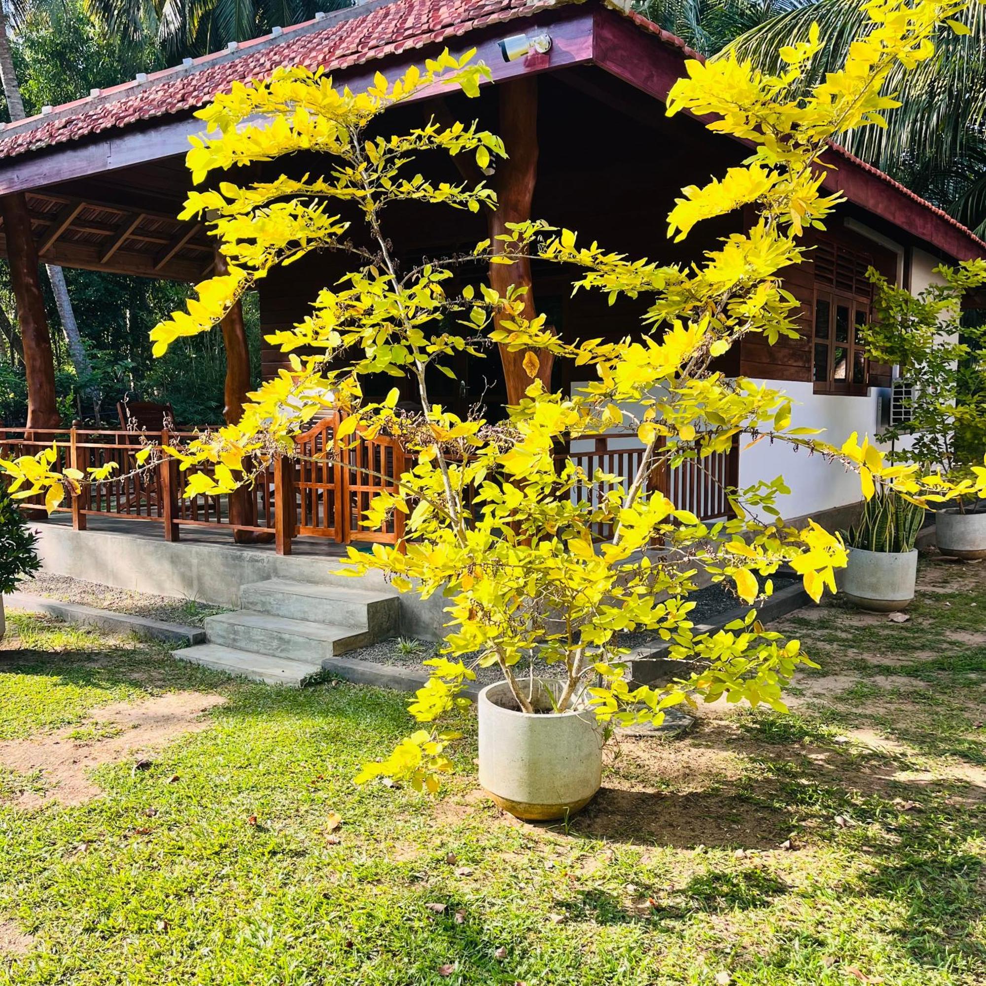 Hanguk Lanka Lagoon Villa แทนกาลเล ภายนอก รูปภาพ